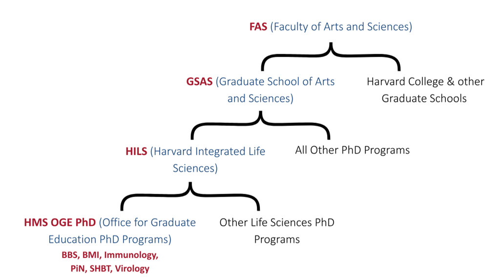 OGE PHD org chart