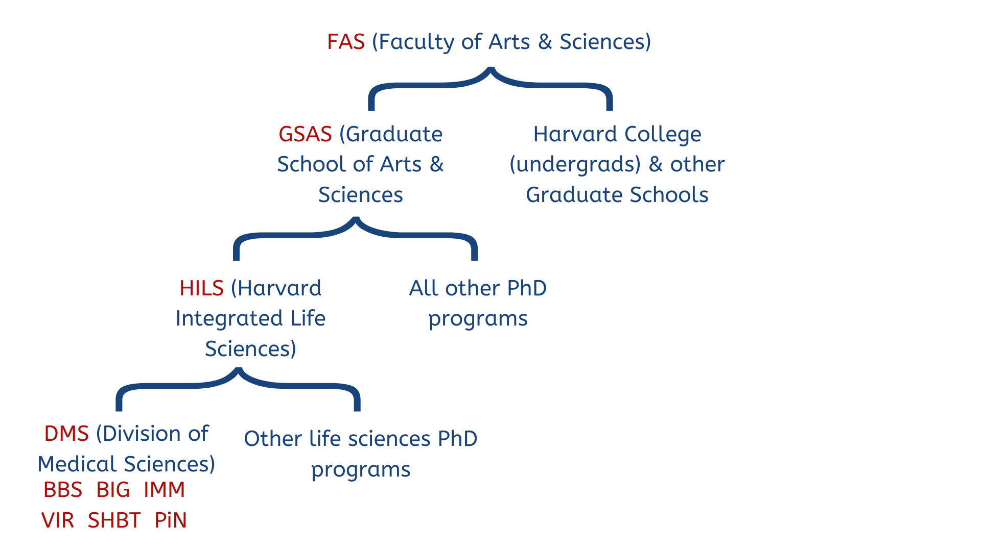 org chart