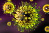 virus