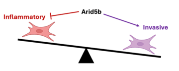 Arid 5B
