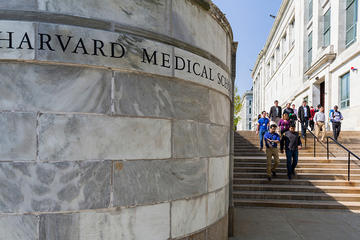 students walking down steps of HMS quad