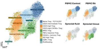 PBMCs
