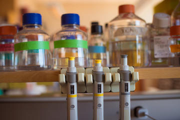 lab bench