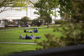 HMS Quad