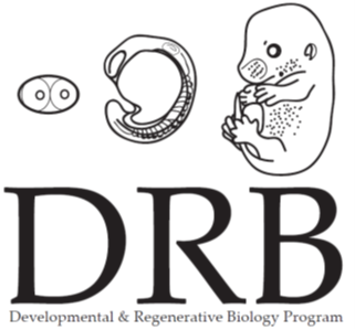 DRB logo