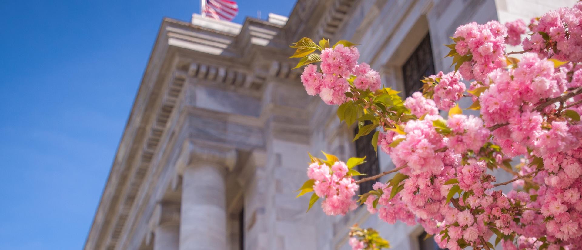 pink flowers in front of Gordon Hall