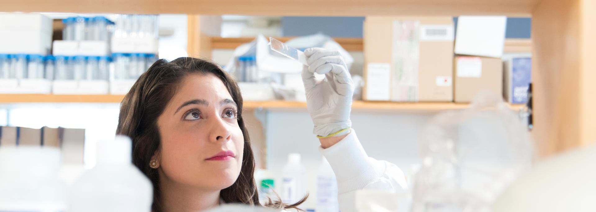 Person in Lab