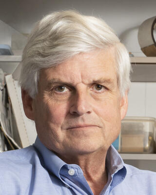 David Corey