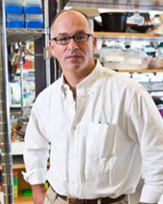 fishell_gordon.jpg