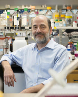 Michael Greenberg