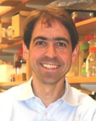 Peter Nigrovic
