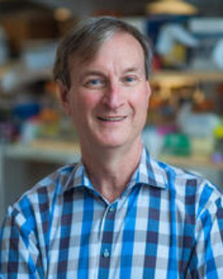 David Page