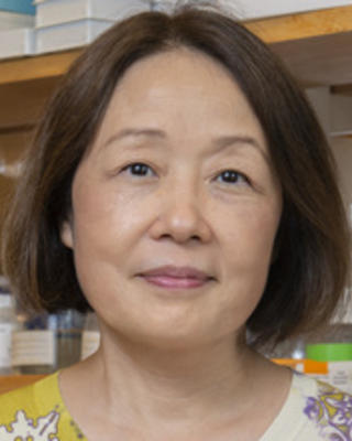 Jie Shen
