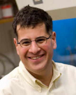 Michael Starnbach