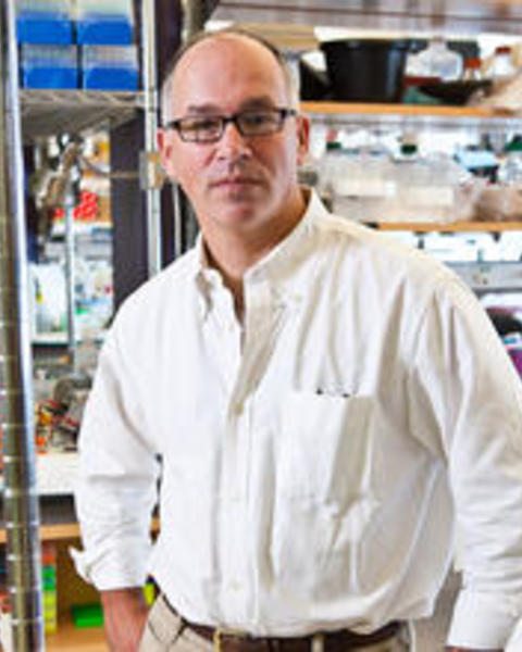 fishell_gordon.jpg