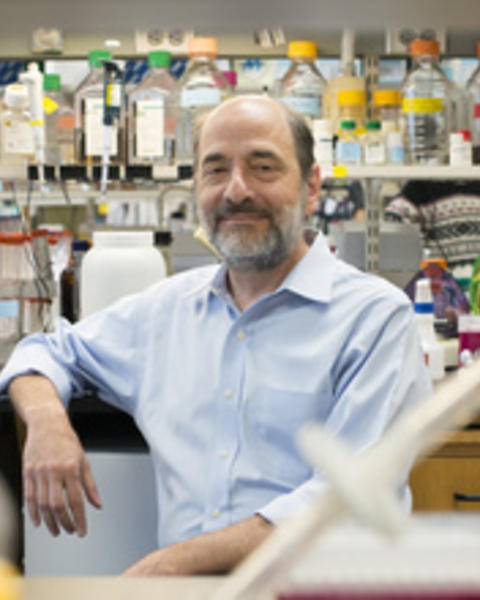 Michael Greenberg