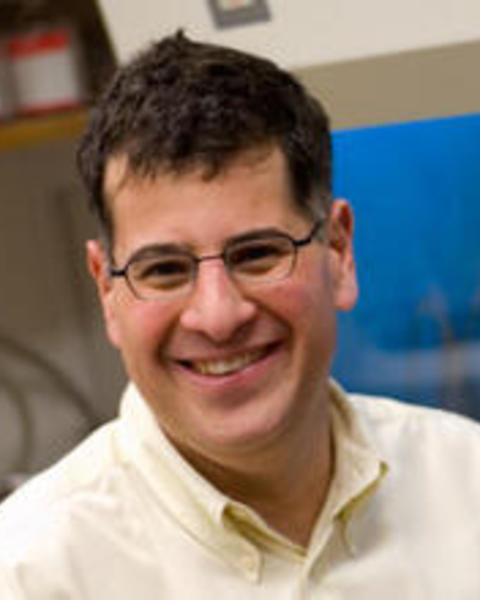 Michael Starnbach