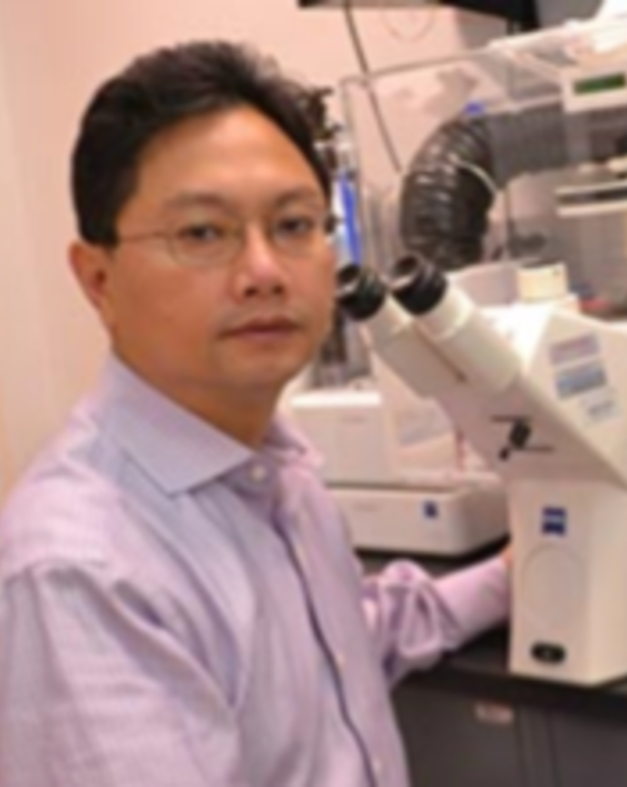Zheng-Yi Chen